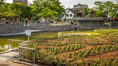 🌸 스미요시 공원